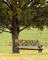 BENCH IN 8x10