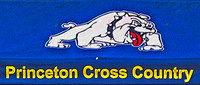 1A cross country championship