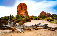 OUT WEST